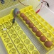 Бытовой инкубатор для 48 куриных яиц с контролем температуры, влажности и автоматическим переворотом SITITEK 48 с автономным питанием 12В
